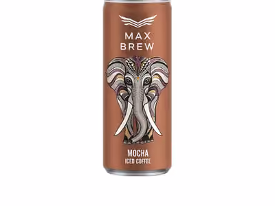 Max Fly Max Brew Iced Coffee Mocha pack shot